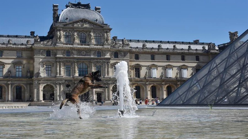 En París, las fuentes han sido, históricamente, espacios para refrescar las altas temperaturas en verano, como hacen incluso los perros de la ciudad.