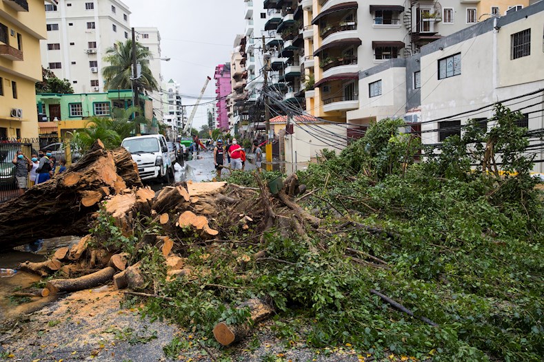 En República Dominicana, la capital sintió los efectos del paso de Laura con la caída de árboles en toda la ciudad.