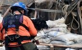 Un perro especializado del grupo de rescatistas Topos de Chile descubrió posibles sobrevivientes. 