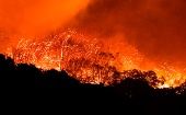 Los incendios en Oregón han obligado a la evacuación de más de 500 mil personas.