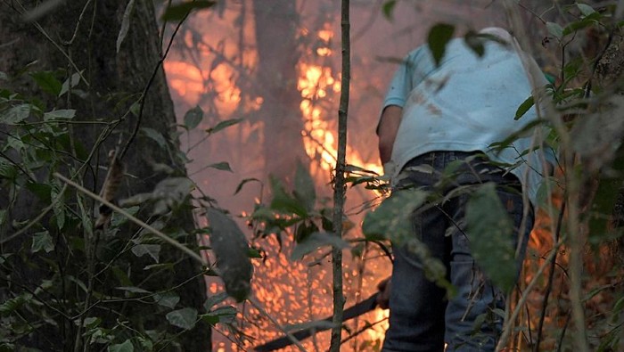 Bomberos y voluntarios luchan para atenuar las llamas y salvar el Pantanal brasileño.