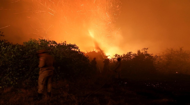 La falta de precipitaciones en la región, junto a la baja humedad y las altas temperaturas han provocado los incendios que la Unesco ha considerado como “devastadores”. Alrededor de 2 millones 300.000 hectáreas han sido afectadas por las llamas.