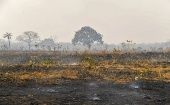 Graves incendios en Pantanal afectan la biodiversidad en Brasil