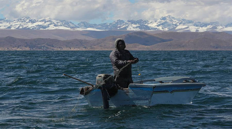 Tanto del lado boliviano como del lado peruano el lago fue declarado Parque Nacional, por lo que la actividad pesquera está controlada. Posee varias especies de animales endémicos de la región que se han adaptado y sobreviven en la altura. Los paisajes que brinda es coronado por Los Andes.