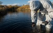 El Comité de Investigación de Rusia abrió un caso penal por la contaminación de las aguas y la muerte de animales marinos en Kamchatka.