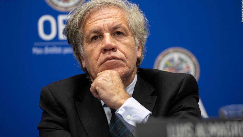 Luis Almagro y la OEA: “Hijos de… Washington”