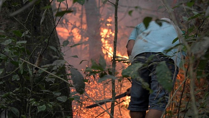 Las organizaciones medioambientales han atribuido la creciente devastación de la selva a la retórica antiambientalista de Bolsonaro.