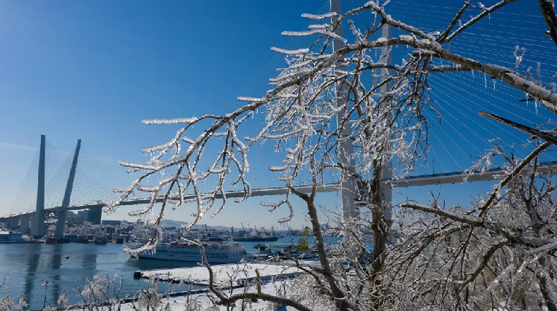 Tras la lluvia gélida en el Lejano Oriente ruso, el grosor del hielo sobre los cables y árboles alcanzó hasta 12 milímetros, según el registro de los meteorólogos. 