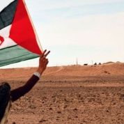 Saharauis y Palestinos: Víctimas de los Mismos Criminales