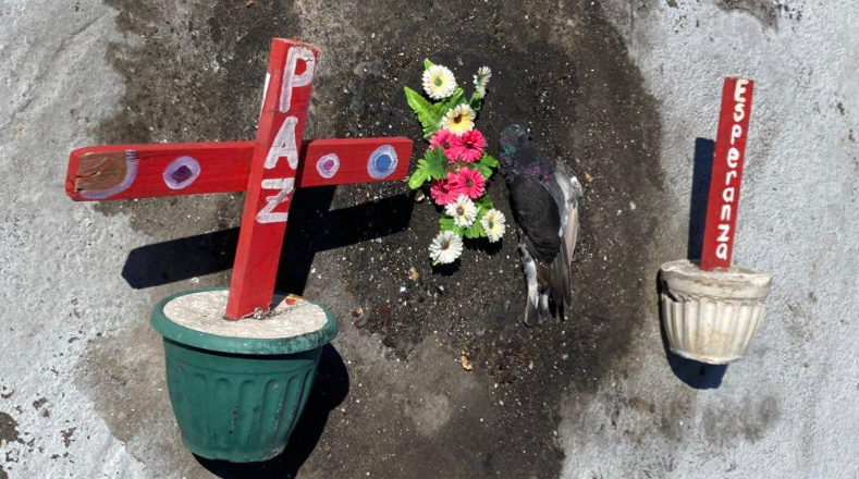 Como un mensaje simbólico, en el altar de la Plaza de la niñas, alguien dejó una paloma muerta entre dos cruces, de cuales una con la palabra  "esperanza" se encontró partida."