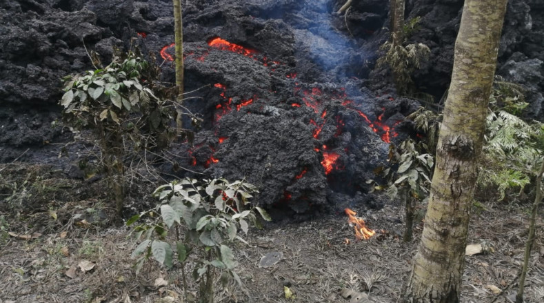 El río de lava ha avanzado a consecuencia de la intensa actividad eruptiva de casi dos meses del Pacaya, situado 25 km al sur de la capital.