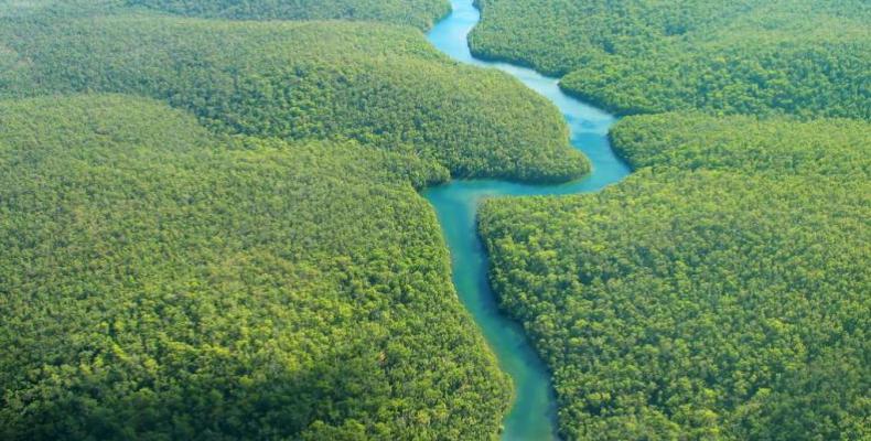 En todo el 2020 fueron devastados cerca de 8.500 kilómetros cuadrados en la Amazonía brasileña.