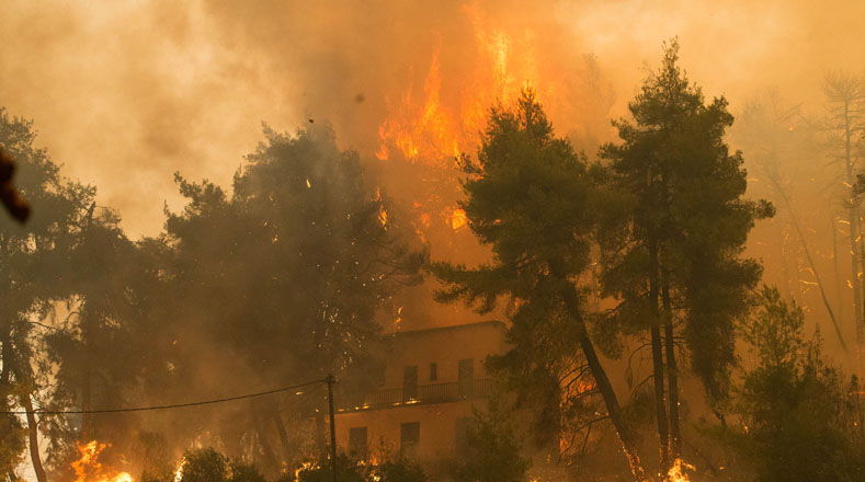 Incendios forestales arrasan con miles de hectáreas en el mundo