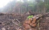 La Amazonía ha perdido 92.3 hectáreas de bosque en los últimos 30 años.