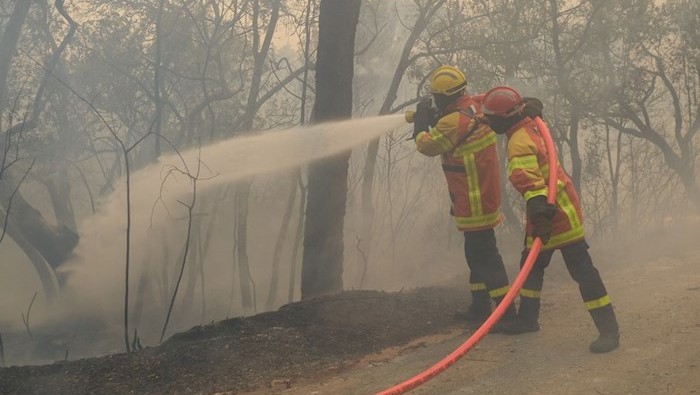 Unos 1.200 bomberos todavía se encuentran realizando labores de extinción.