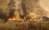 Las autoridades desplegaron a 90 bomberos y a más de 100 miembros de Defensa Civil para combatir el incendio. 
