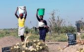 Según un informe de la ONU, en el mundo hay más de 3 millones de personas que viven en áreas agrícolas con escasez de agua.