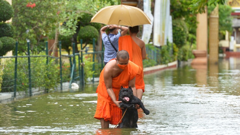 Las escenas de rescates, tanto de personas como de animales domésticos se hicieron comunes durante estas semanas en Bangkok.