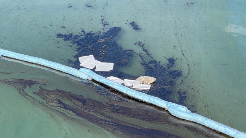 El gran vertido de crudo procede de una plataforma en el Pacífico, es equivalente a unos 3.000 barriles de petróleo y  golpeó el sur de California, Estados Unidos.