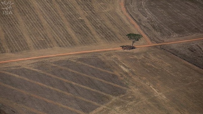 La Amazonía perdió el 74.6 millones de hectáreas de su cobertura vegetal.