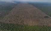 La Amazonía brasilena presenta una pérdida de superficie de bosque mayor que la que mide la ciudad de Río de Janeiro. 