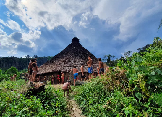 Comunidades del pueblo indígena yanomami se encuentran en zonas de difícil acceso en la selva amazónica y padecen de precaria situación de salud.