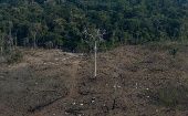 Brasil suma cuatro años consecutivos de escalada en las cifras de deforestación desde que comenzó a ser medida en 1988.