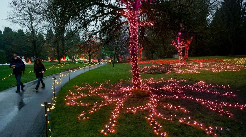 En estas fiestas navideña, como es tradición, el Jardín Botánico VanDusen es la sede de uno de los festivales más esperados del año.