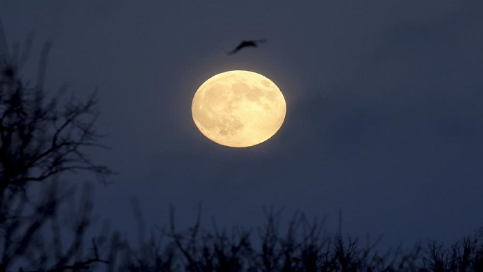 Posteriormente, fue presentada una imagen más clara de la Luna tras usar el proceso del daguerrotipo.