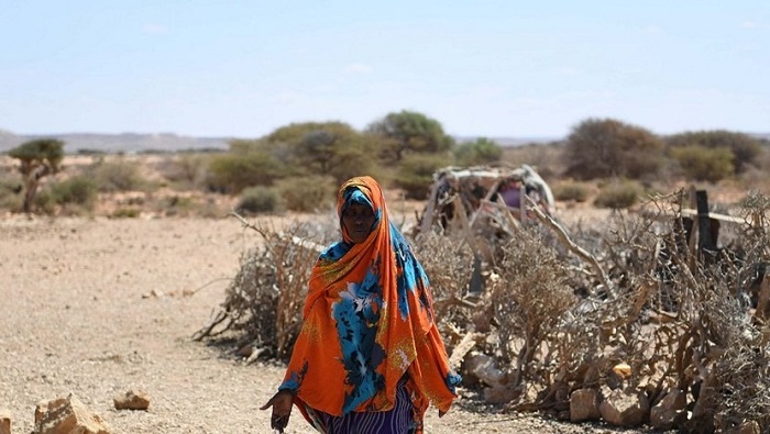 Las miles de familias de etíopes perdieron sus ganados y cultivos.