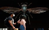Ciudad de México recibe festival de insectos gigantes