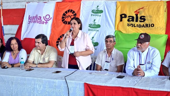 El espacio denominado Ñemongeta Guasu por una Patria Nueva, está integrado por partidos políticos y movimientos de izquierda, y en las elecciones la senadora Esperanza Martínez tuvo el acompañamiento de 142 de los 260 delegados.