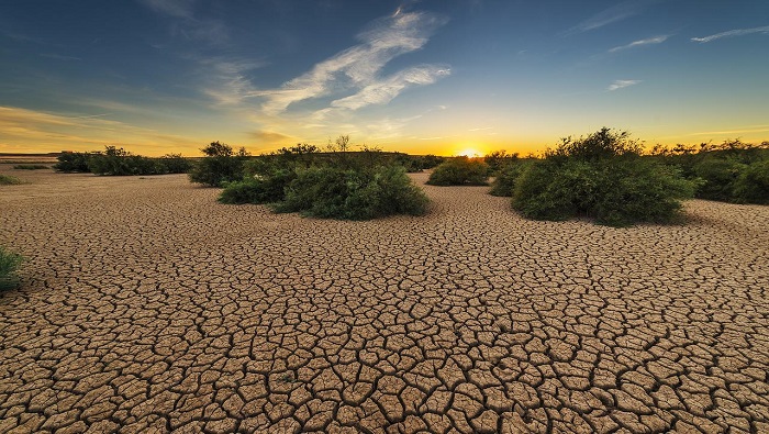 La sequía puede afectar la calidad de vida de las personas, ya que entre sus consecuencias están la pérdida de producción, escasez de agua potable, ríos secos y hambruna.