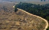 Los estados más afectados fueron Amazonas con 346,89 kilómetros cuadrados; Pará 241,92 kilómetros; Mato Grosso 286, 68 kilómetros y Rondonia 107,86.