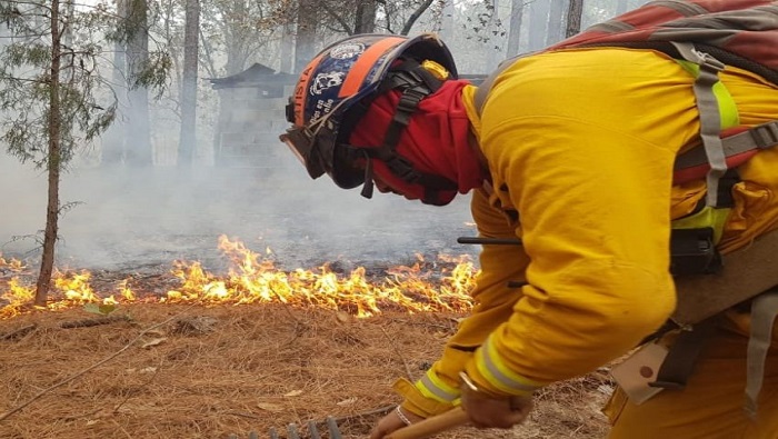 En la lucha contra los incendios laboran 84 combatientes del gobierno Municipal de Saltillo, Secretaría de la Defensa Nacional, brigadas rurales estatales, voluntarios, Gobierno del Estado De Coahuila y Conafor.