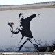 Replica of the flower thrower painted by Banksy in Bethleem, Palestine.