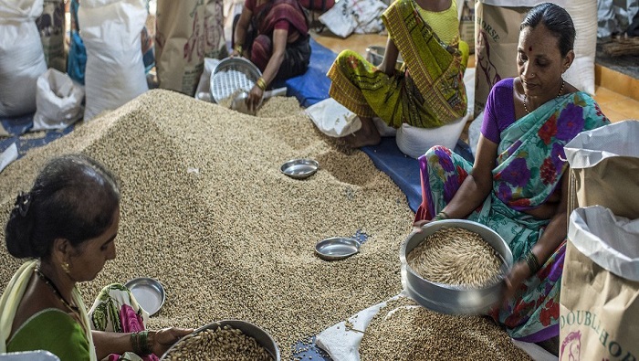 “Se espera que las existencias mundiales de trigo aumenten marginalmente en 2022”, alertó la FAO.