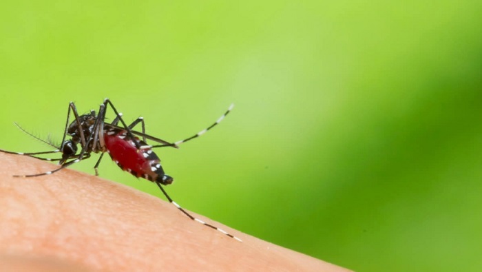 De acuerdo con el director de Vigilancia de la Salud, la enfermedad que suele aumentar con las lluvias no es el dengue, sino la malaria.