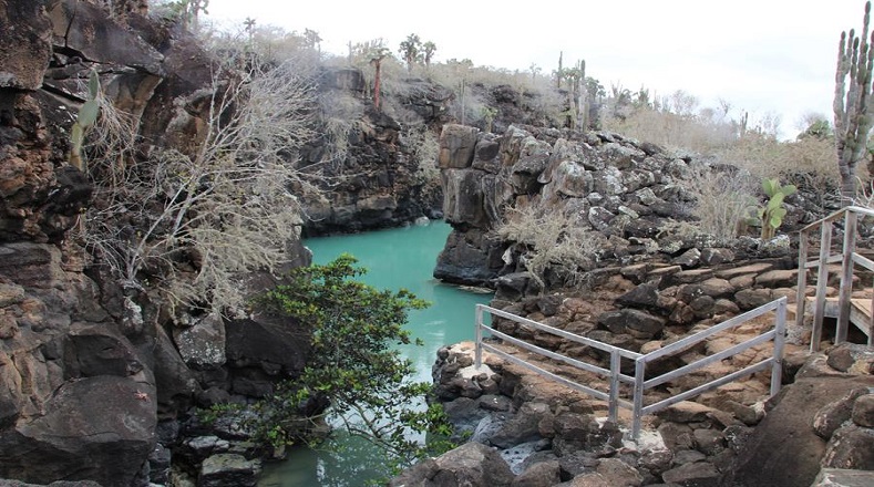 El Parque Nacional Galápagos, primera área protegida de Ecuador, cumple este lunes 4 de julio, 63 años de su fundación. 