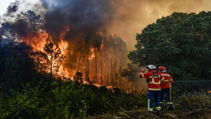 Portugal ha registrado más de 9.000 incendios rurales desde el pasado 8 de julio.