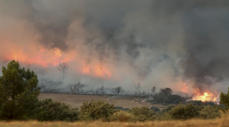En este territorio, se reporta el incendio con el nivel de alerta más alto y con peor evoluciona. Además, las autoridades estiman que el fuego ha arrasado unas 6.500 hectáreas. 