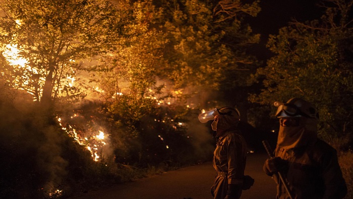 En los últimos años, los incendios forestales en España han provocado diversos desastres ecológicos.