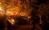 En los últimos años, los incendios forestales en España han provocado diversos desastres ecológicos.