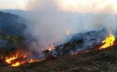 España es el país europeo más afectado por los incendios en lo que va de año, seguido de Rumanía, Portugal y Francia.