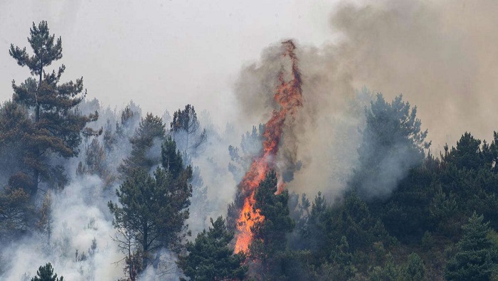 El fuego ha arrasado cuatro veces más superficie que la media a comienzos de julio entre 2006 y 2021.
