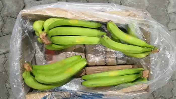 La droga estaba escondida en paquetes dentro de un cargamento de bananos, con destino al Reino Unido.