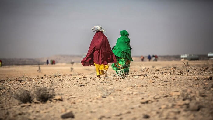 El PMA subrayó que el riesgo de hambruna que desencadenará la quinta etapa de sequía en el Cuerno de África es real.