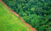 Meta, Caquetá, Guaviare, Putumayo, Norte de Santander y Antioquia son los departamentos más afectados por la deforestación.