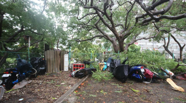 La estación meteorológica de Casa Blanca reporta en la capital rachas de viento con fuerza de huracán ocasionando la caída de árboles y estructuras endebles.