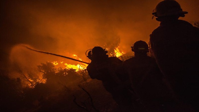 En lo que va de temporada, Chile reporta 1.600 siniestros, y actualmente hay 44 incendios activos. 